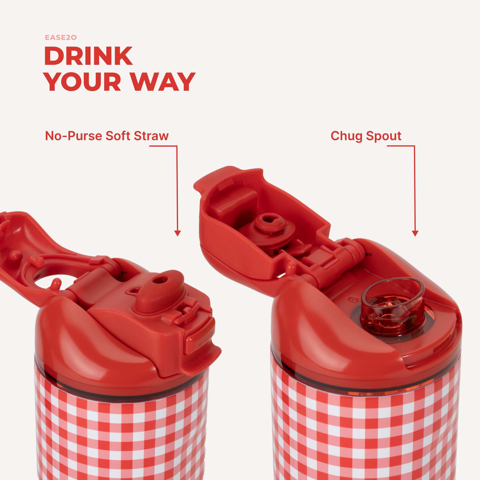 summer-picnic-v6 Ease14-SummerPicnic-3WPI.png