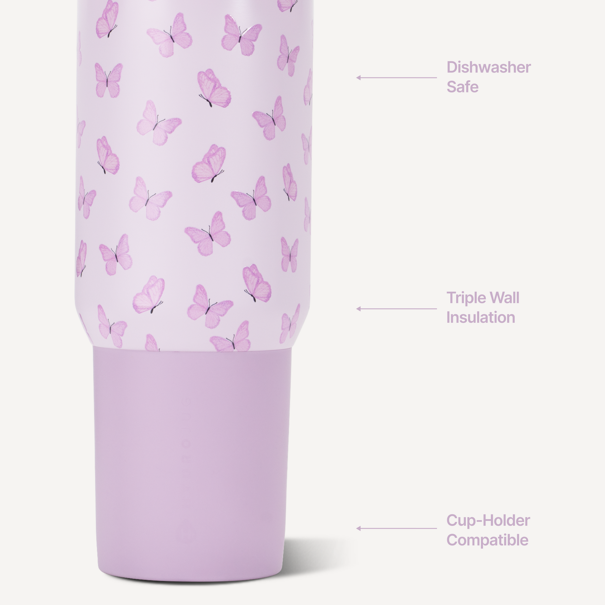 flutter-v8 Sport20-Flutter-3-WPI.png