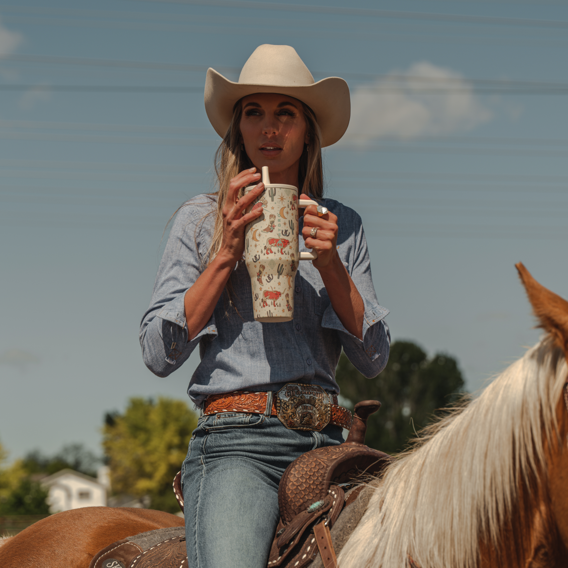 rodeo-v0 TRVL-Rodeo-6WPI.png